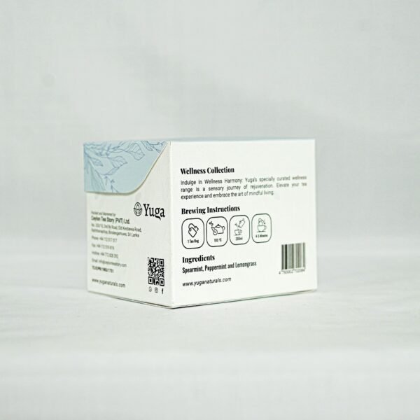 Minty Fusion - Image 4