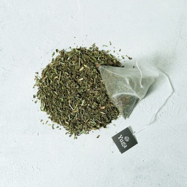 Minty Fusion - Image 2